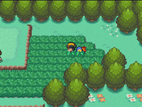 Long Grass