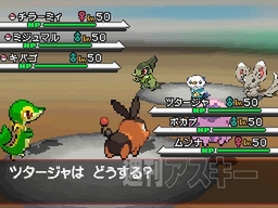 ポケットモンスター ブラック・ホワイト