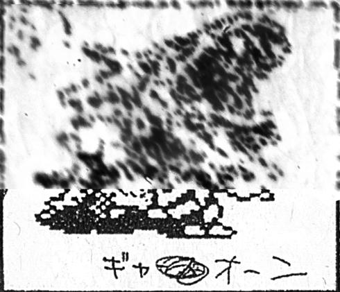 No. C ギャオーン /  ギャース GYAOON /  GYARTH - NOT RANKED.