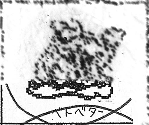No. 6? ベトベター BETOBETAA - GRIMER CIRCLED.