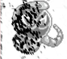 No. 45  - ARBOK