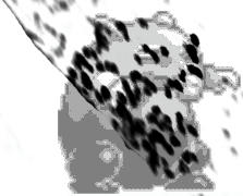 No. 48 スリーパー SLEEPER - DROWZEE CIRCLED.
