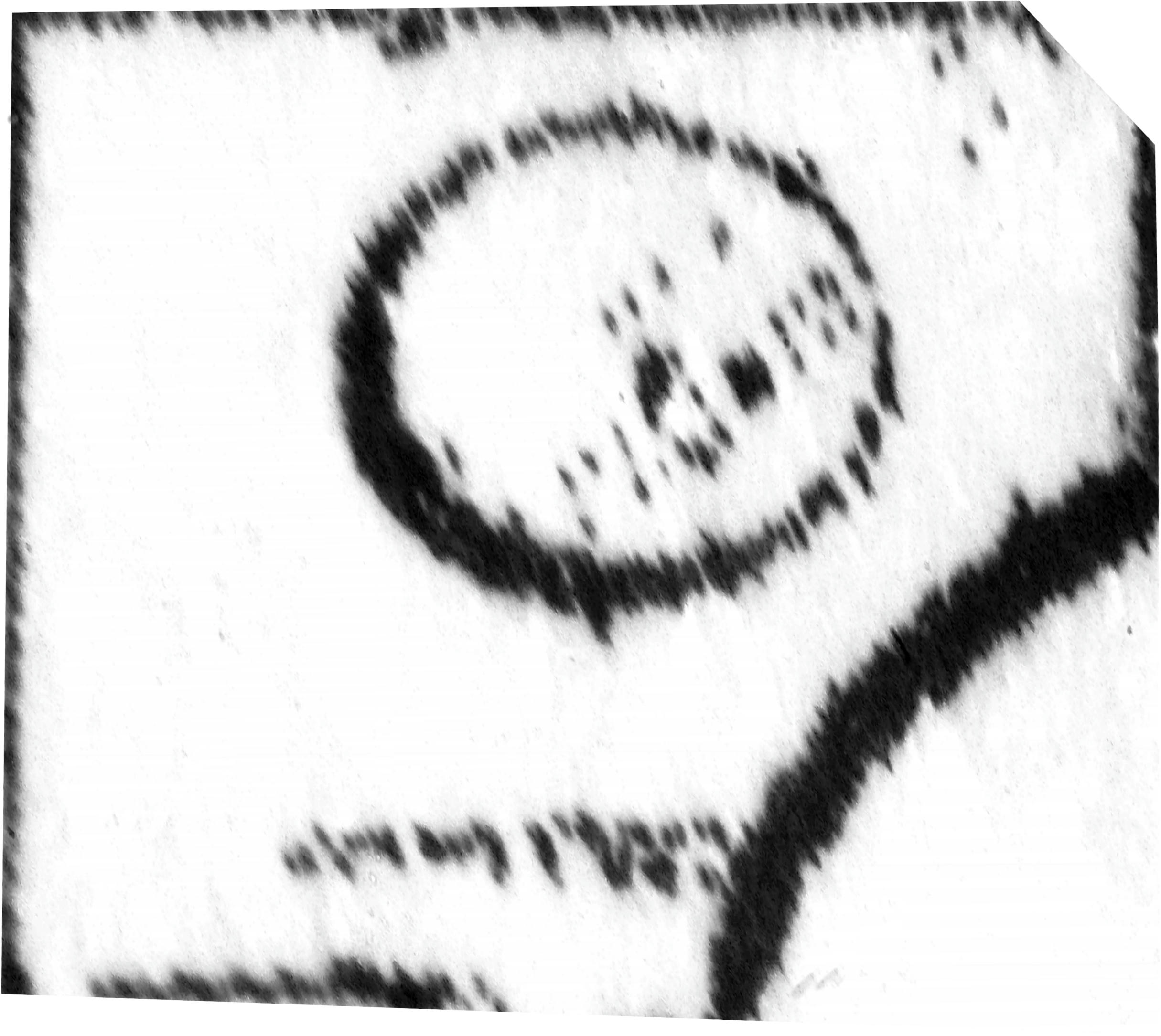 No. 81 バルンダ (A) BARUNDA (A) - CIRCLED.