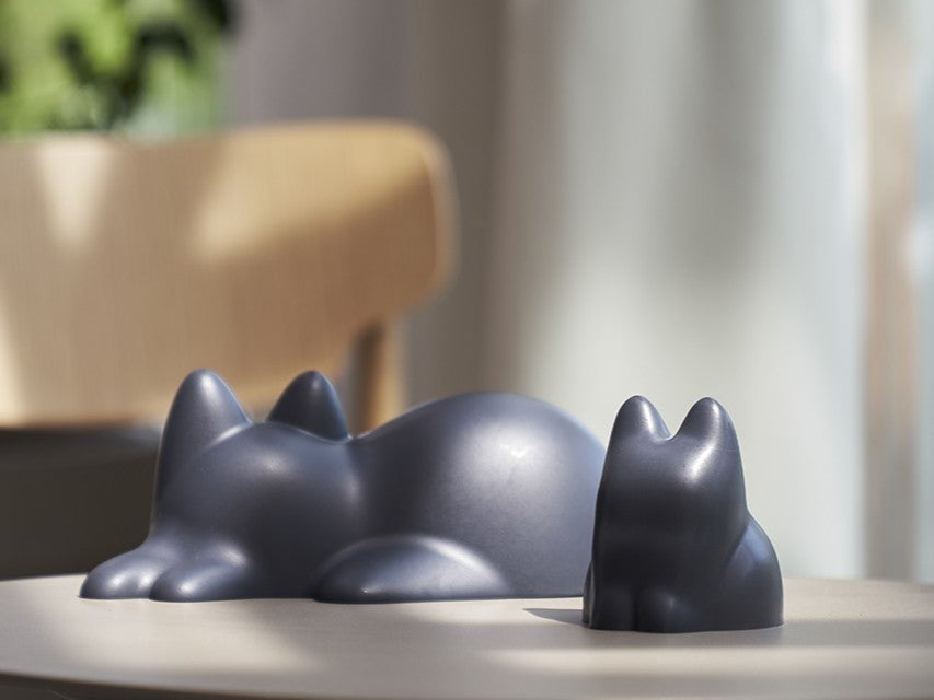 メタモンを、何に「へんしん」させる？